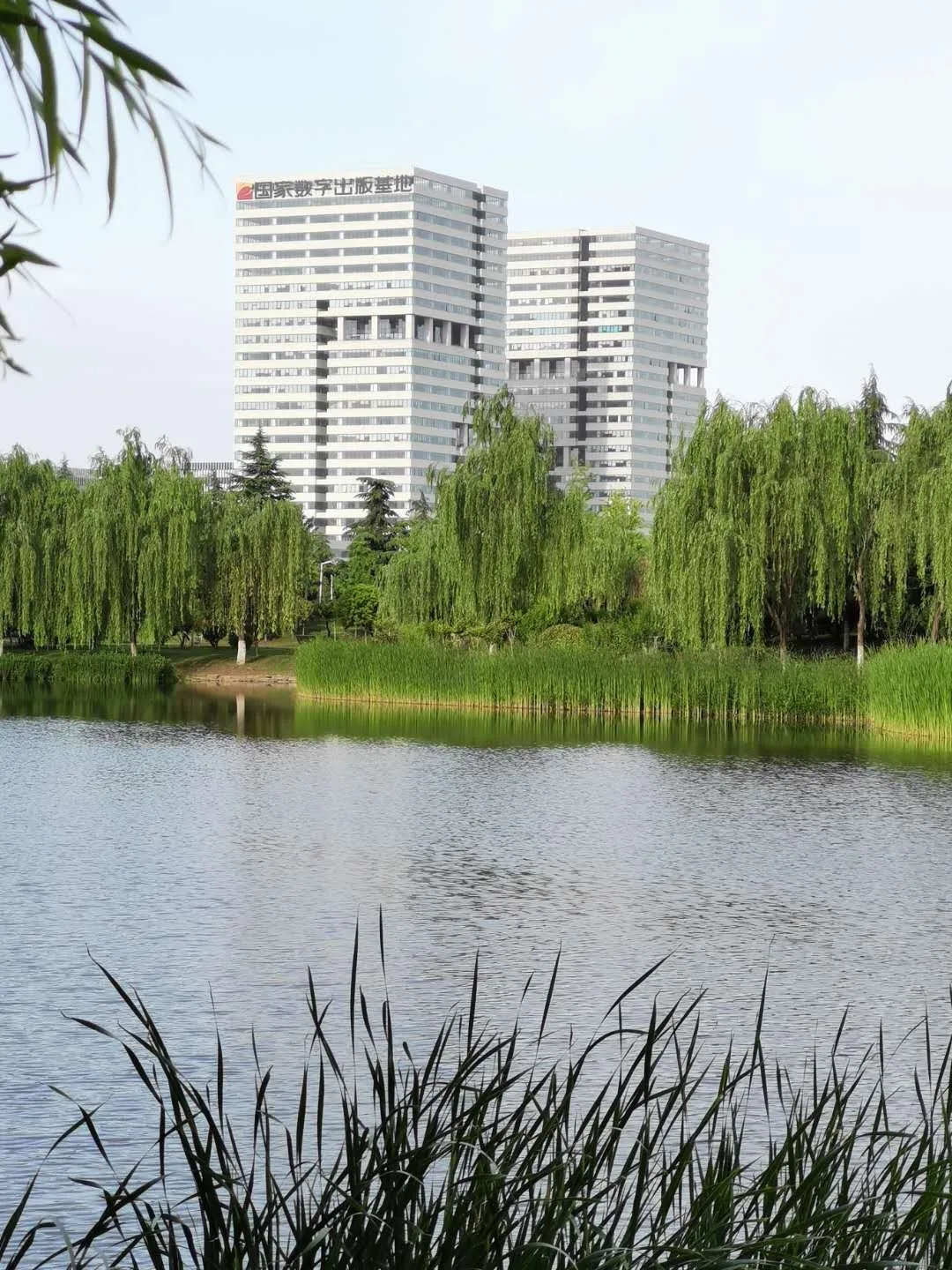 红五月,游艇会电气逆流而上,逆势上扬(图2)