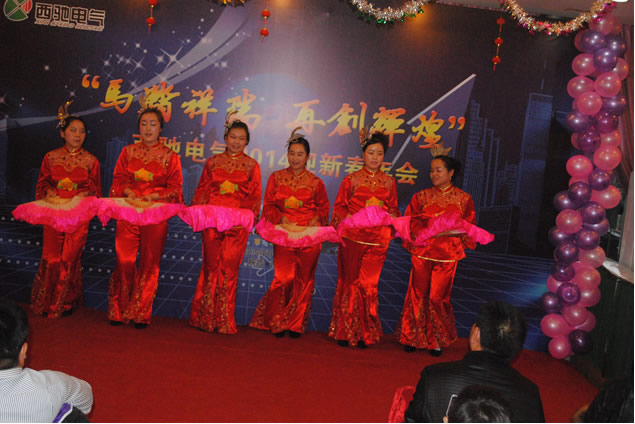 游艇会电气年会圆满乐成(图11)